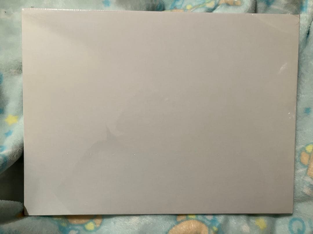 メモリアルポートレート カミュ