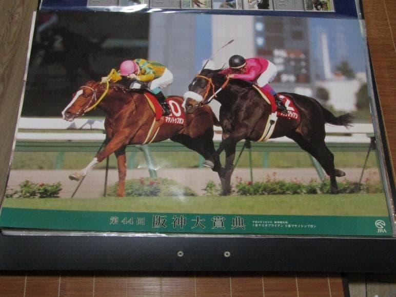 競馬 B2ポスター 第44回 阪神大賞典 ナリタブライアン マヤノトップガン 第44回阪神大賞典 - Wikipedia