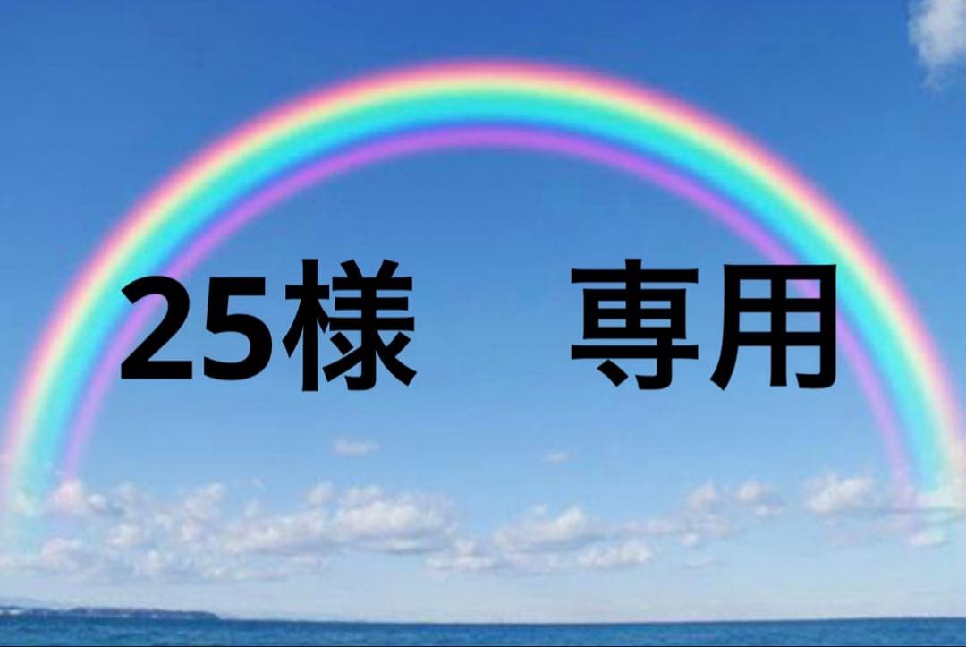 TFW49 VW HOODIE ナイロンフードパーカー モックパーカー - メルカリ