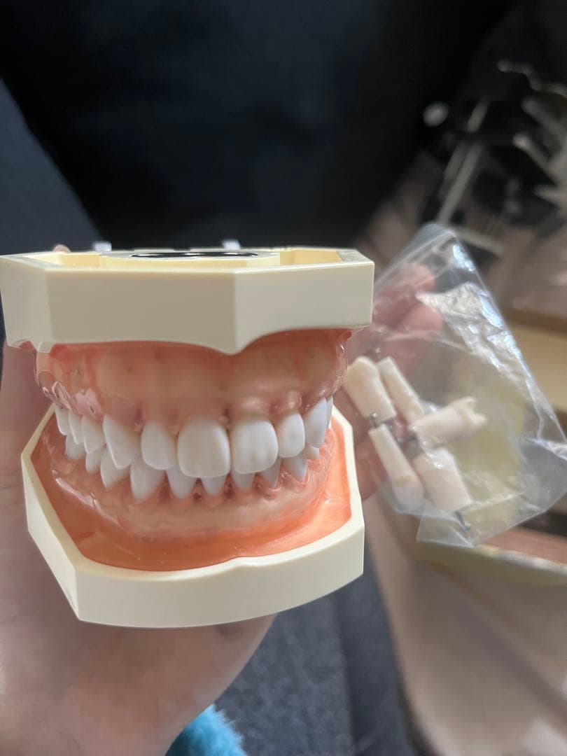 NISSIN シンプルマネキンセット