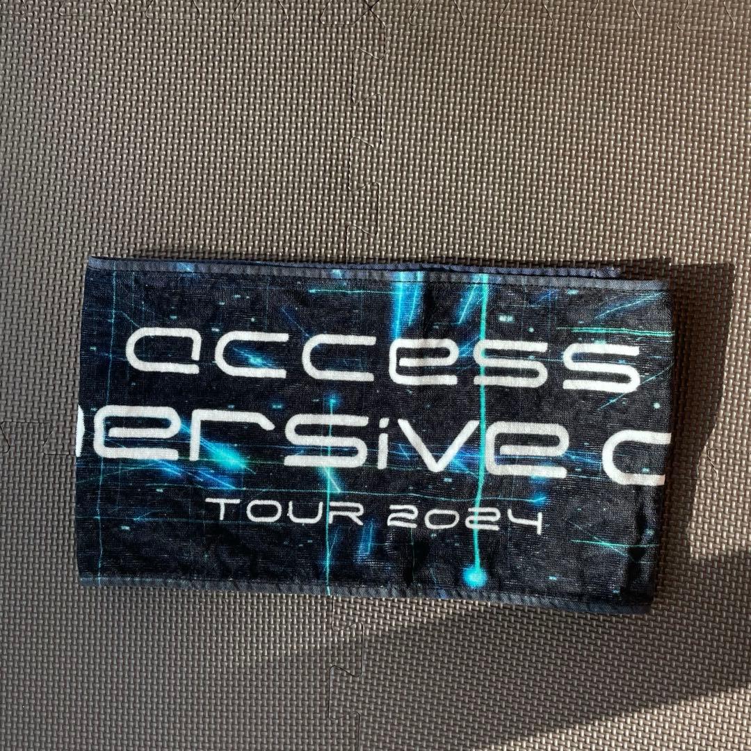access ライブグッズ