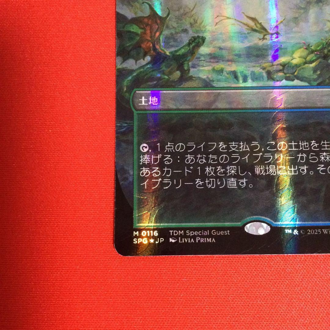 霧深い雨林　Misty Rainforest　ドラゴンスケイル　foil