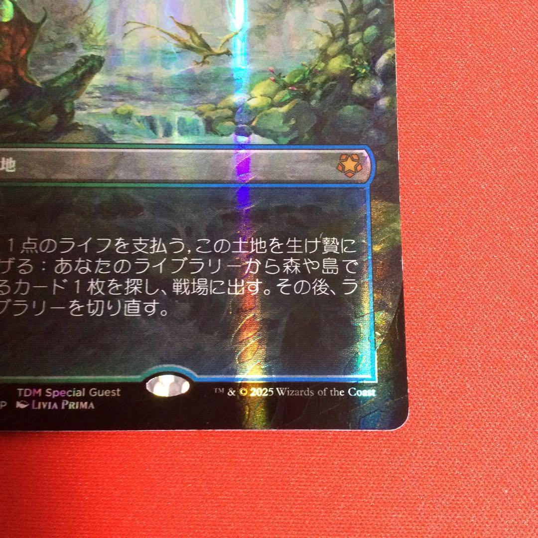 霧深い雨林　Misty Rainforest　ドラゴンスケイル　foil