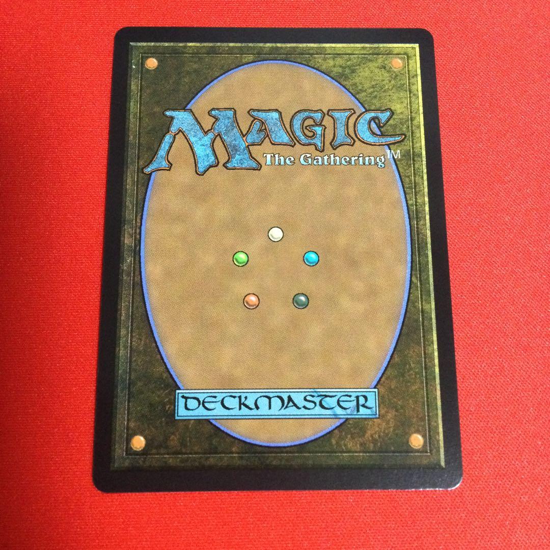 霧深い雨林　Misty Rainforest　ドラゴンスケイル　foil