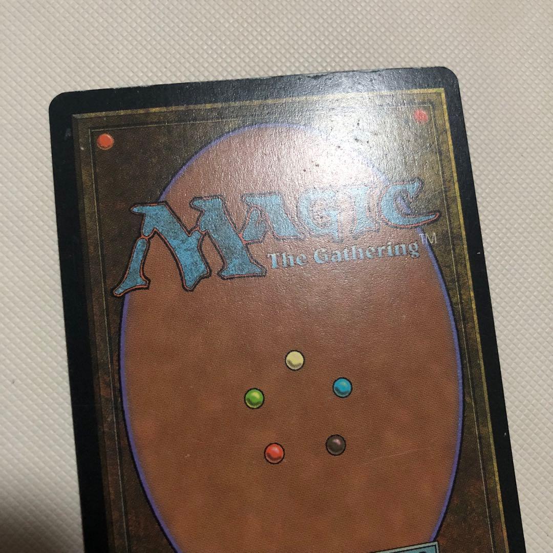 水蓮の花びら 4枚セット 中国語 繁体字 他言語 mtg