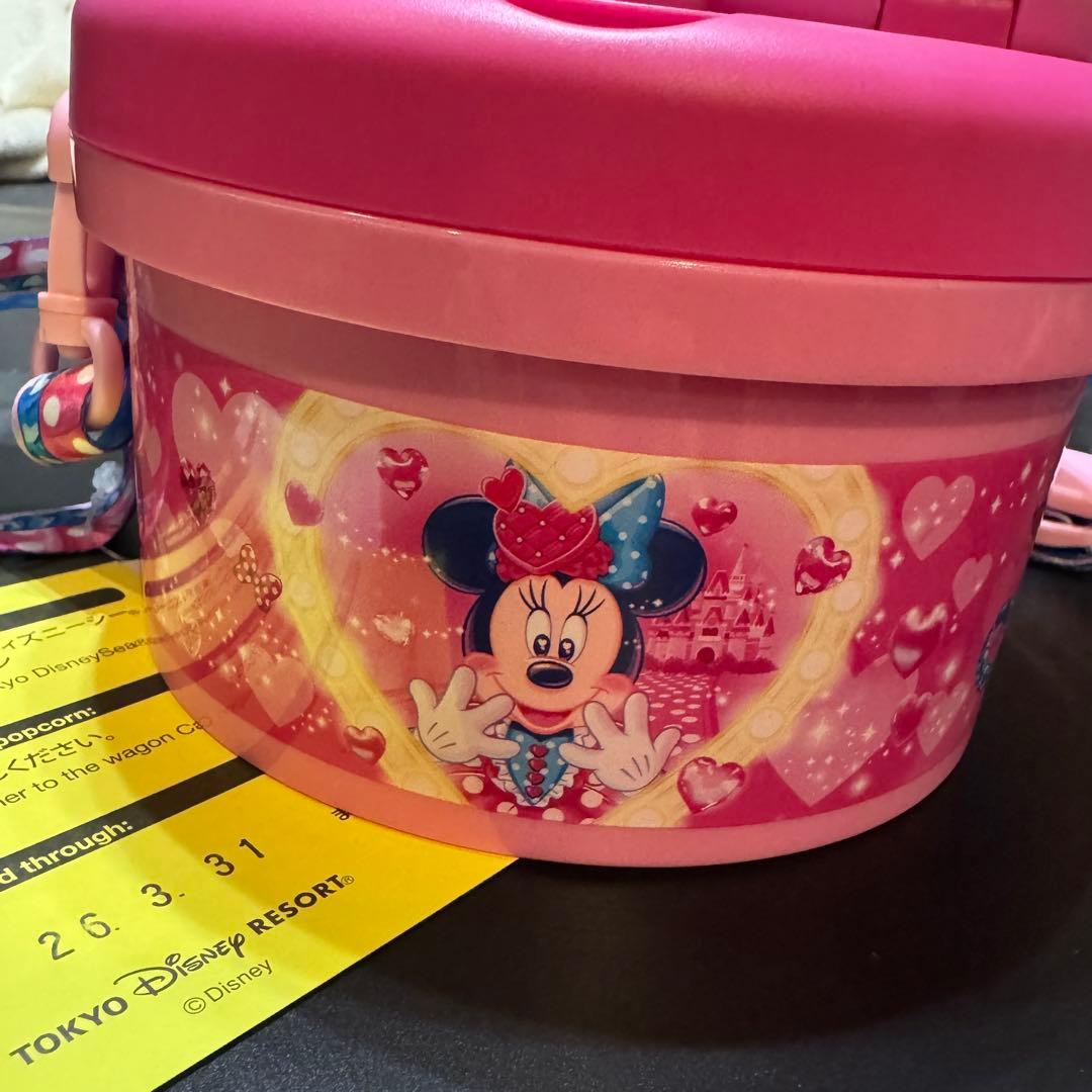 ディズニーランド パルパルーザ ミニー ファンダーランド ポップコーン