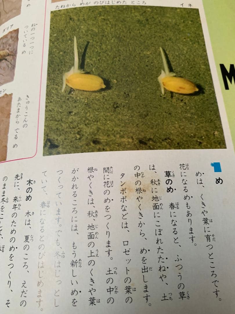 昭和レトロ 学研 百科事典 学習こども百科全15巻セット＋1〜10巻索引本