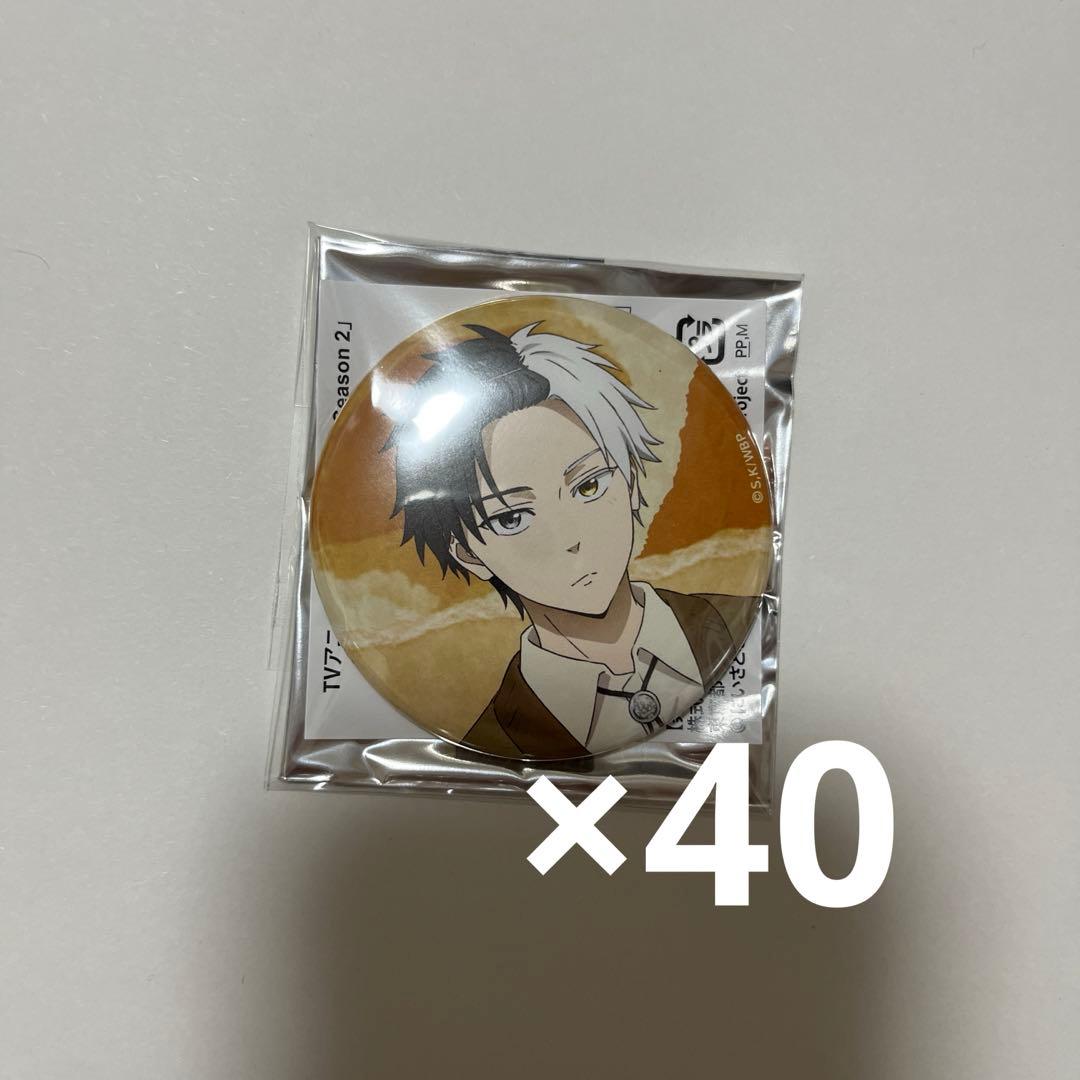 ウィンドブレーカー 桜 缶バッジ 40点 WIND BREAKER』VASARAコラボ グリッター缶バッジ 桜遥 – TG MALL