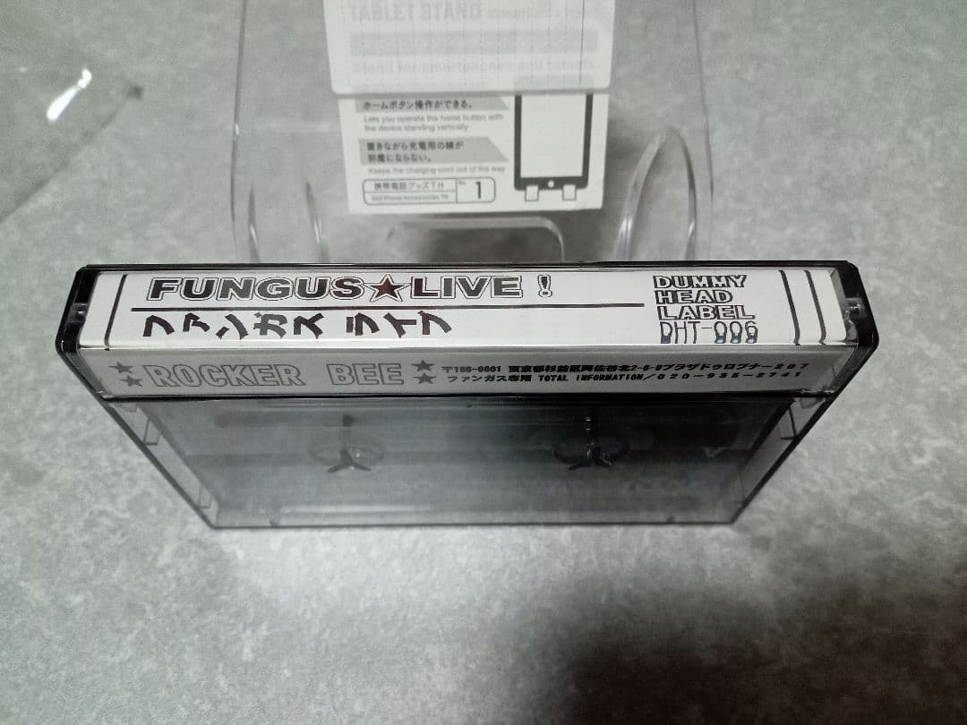 FUNGUS 完売間近！！