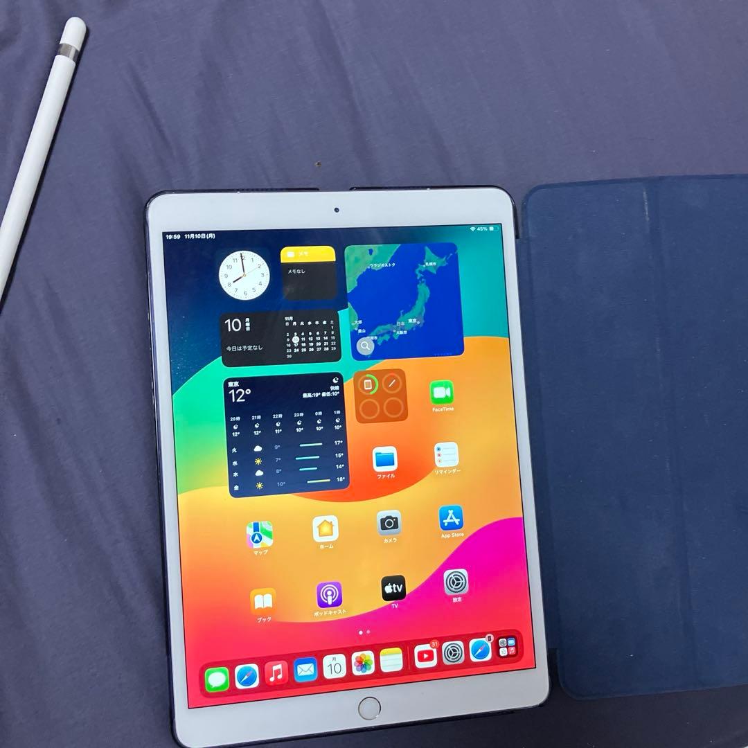 ipad pro 10.5 Apple Pencil付 10.5-inch iPad Pro + Apple Pencil with iOS 11