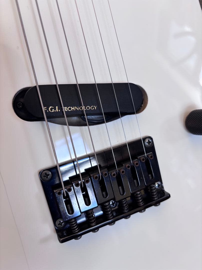 FERNANDES BUCK-TICK IMAIモデル　STJ-80BT