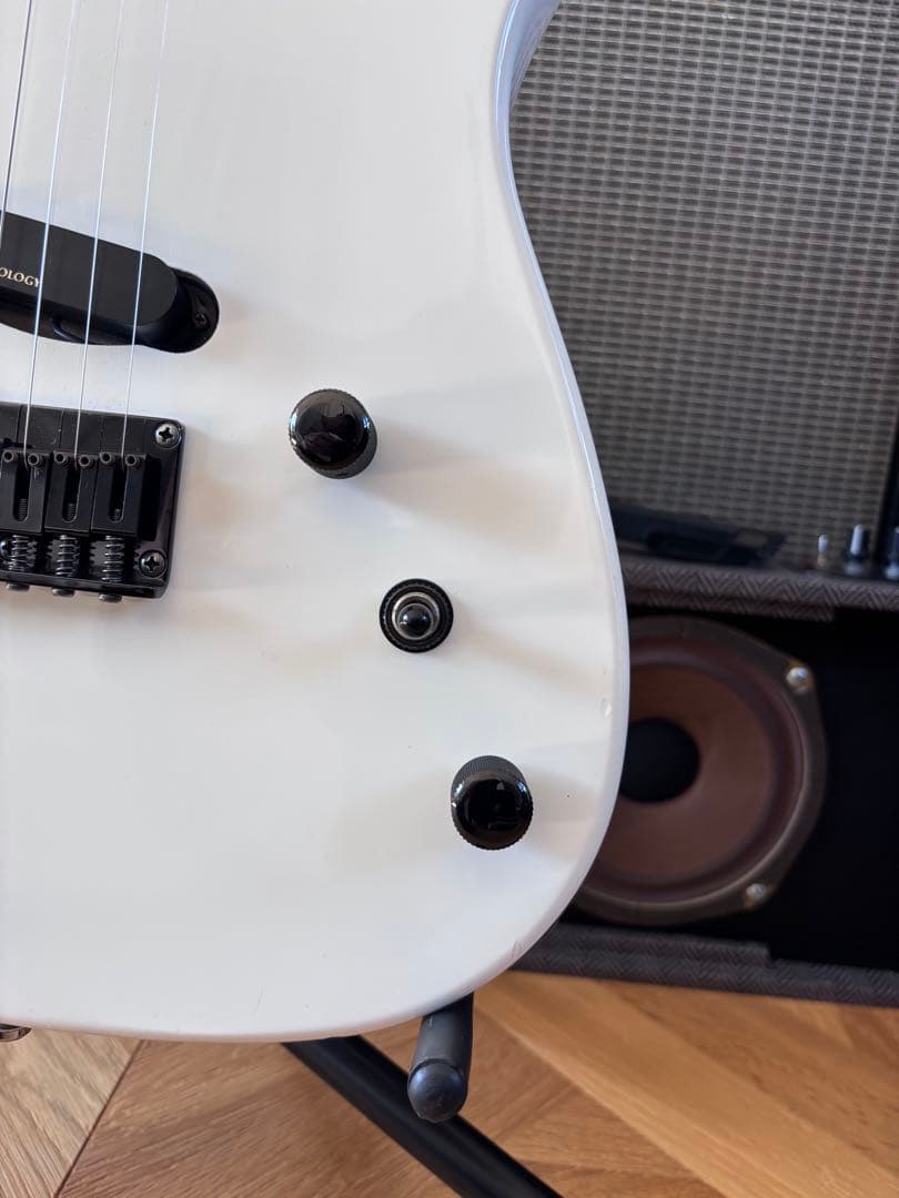 FERNANDES BUCK-TICK IMAIモデル　STJ-80BT