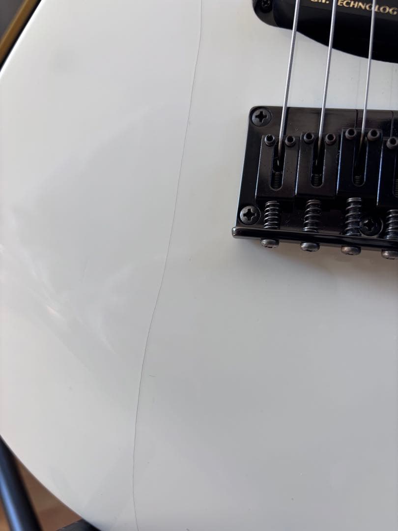 FERNANDES BUCK-TICK IMAIモデル　STJ-80BT