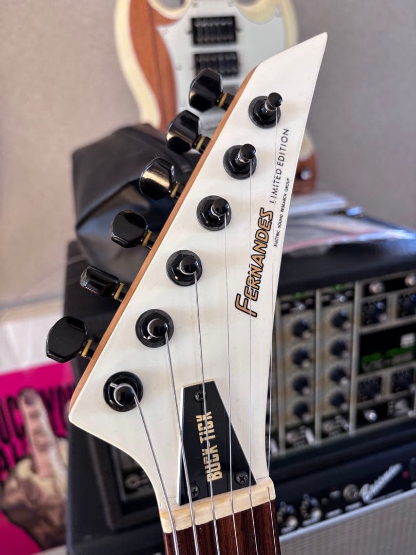 FERNANDES BUCK-TICK IMAIモデル　STJ-80BT