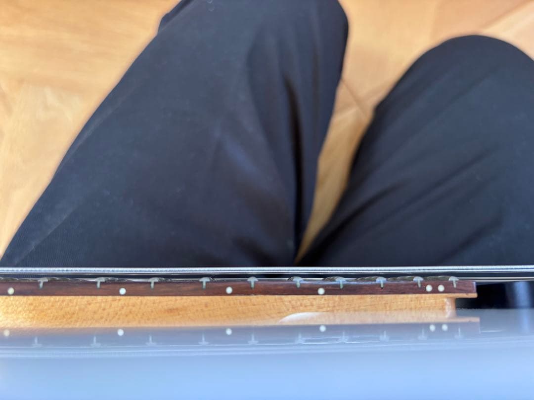 FERNANDES BUCK-TICK IMAIモデル　STJ-80BT