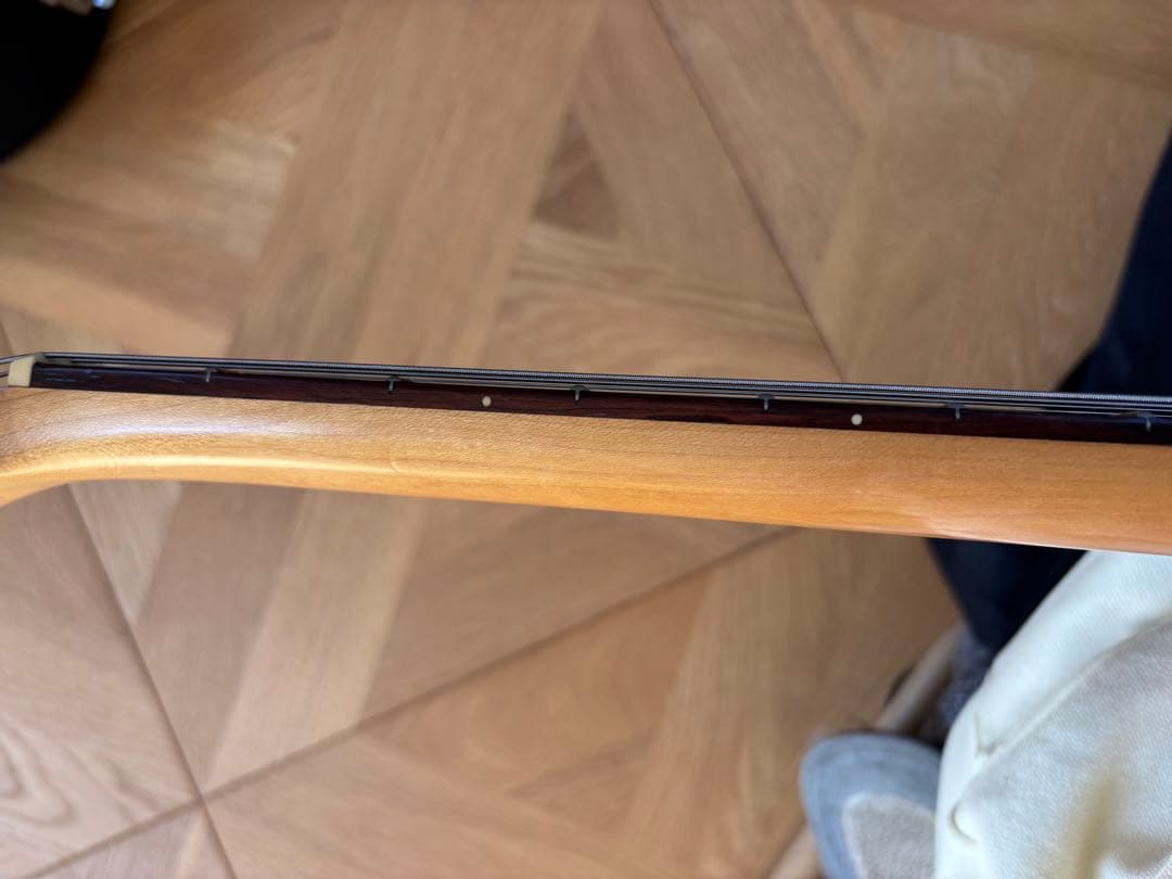 FERNANDES BUCK-TICK IMAIモデル　STJ-80BT