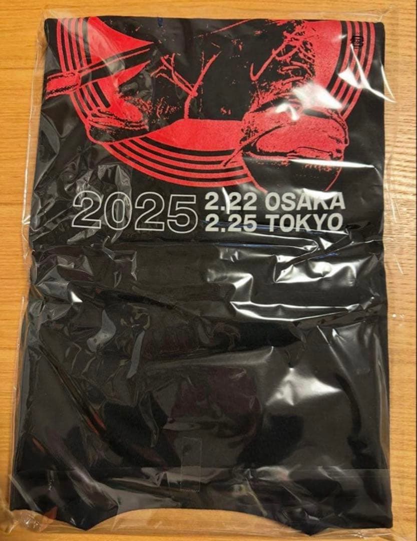 MR.BIG 2025 Finalライブ　ロングスリーブ Tシャツ