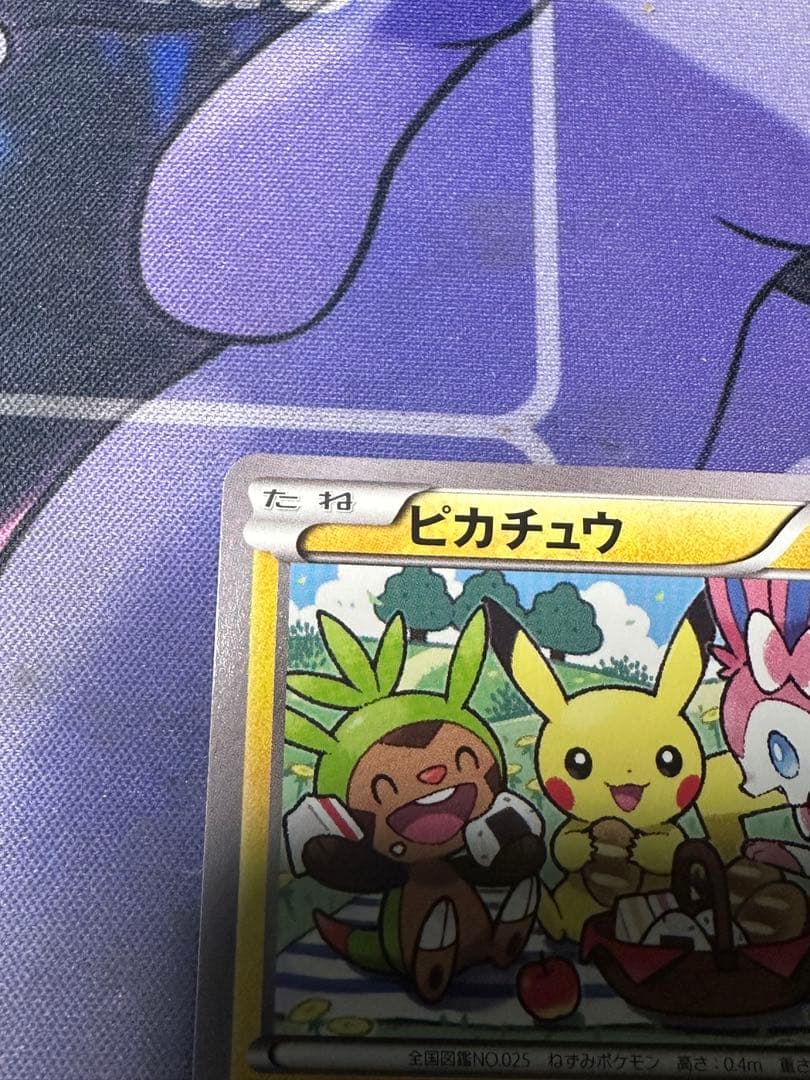 ピカチュウ いっしょにたべよ