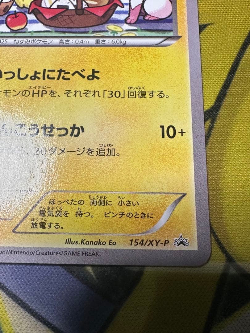 ピカチュウ いっしょにたべよ