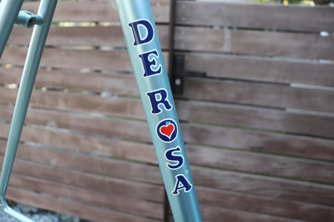 DE ROSA ENDURACE 1992 フレーム デローザ カンパニョーロ - メルカリ