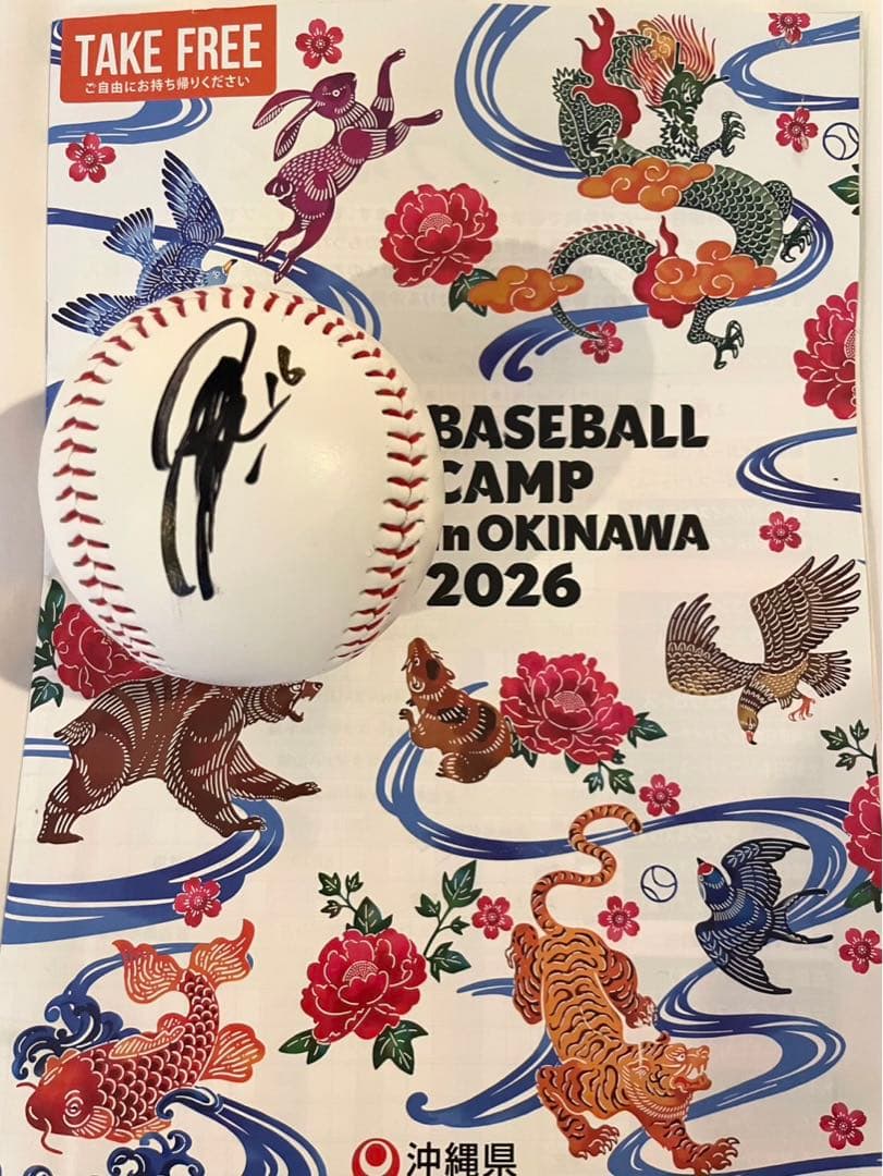 日本ハムファイターズ 達孝太 直筆サインボール 2026 沖縄キャンプ限定球 2026年最新】達孝太 直筆の人気アイテム - メルカリ