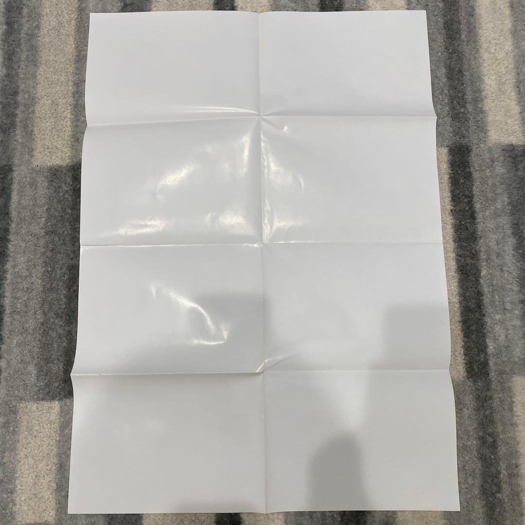 【非売品】　ヴァンパイヤハンター　モリガン&アニタ　描き下ろしポスター