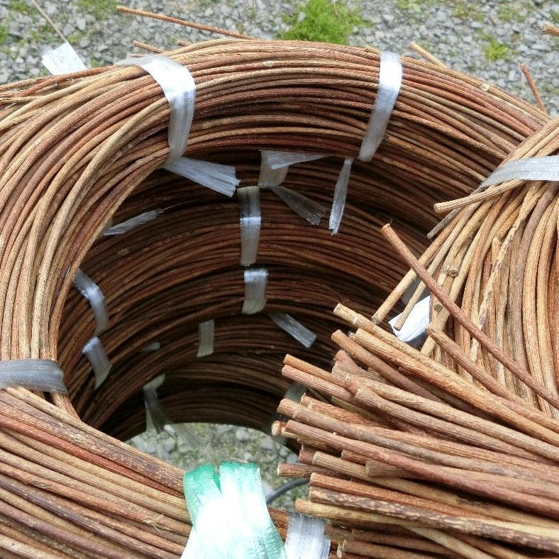 黄色いくまさん様専用 青森岩木山採取 あけび蔓 150cm～ 15kg 1 - メルカリ