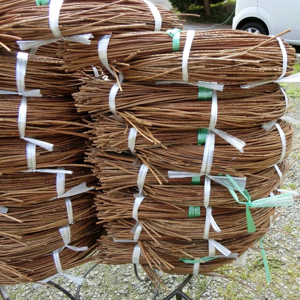 黄色いくまさん様専用 青森岩木山採取 あけび蔓 150cm～ 15kg 1 - メルカリ