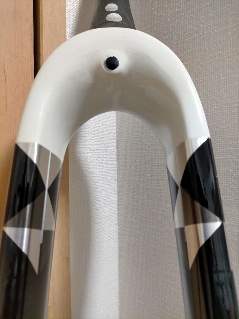 TREK CHECKPOINT ALR5 フロントフォーク