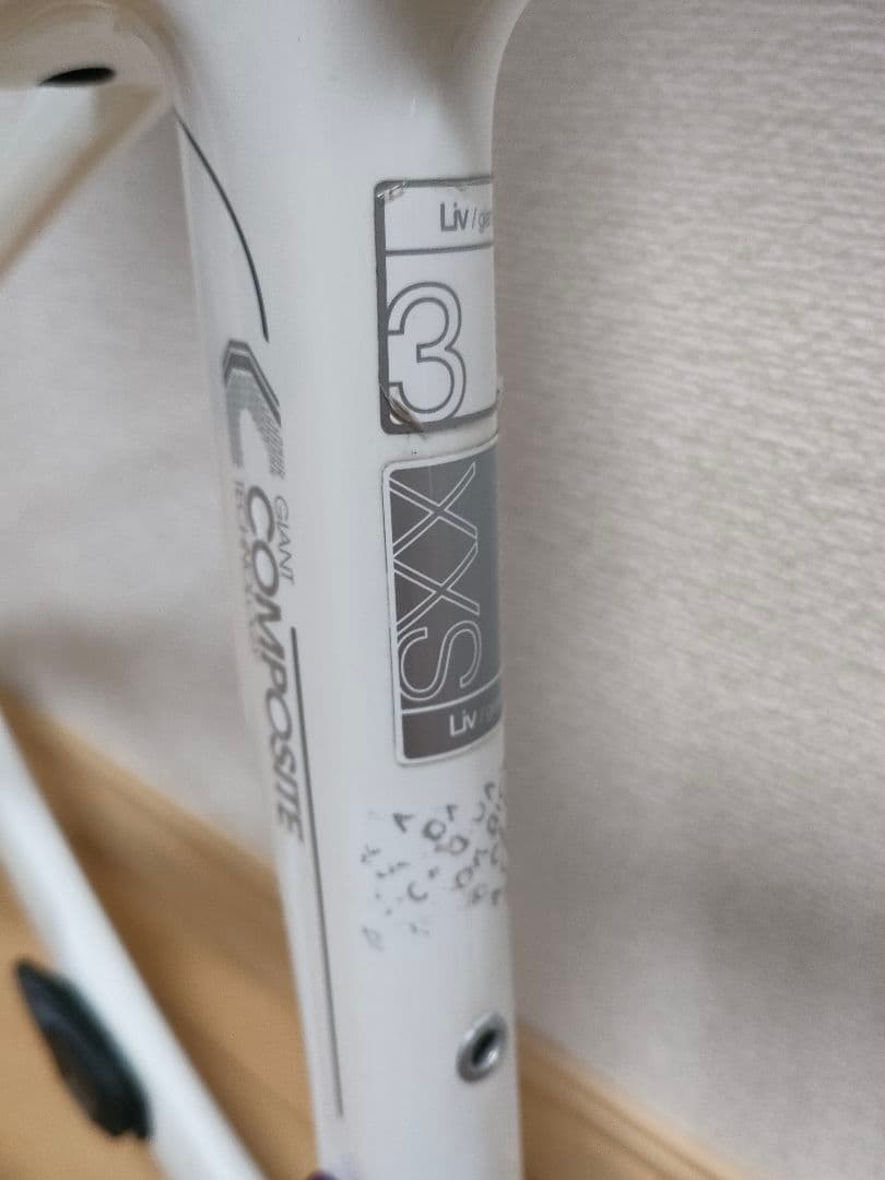 GIANT Liv フルカーボン ロードバイク フレーム xxs 女性/キッズ