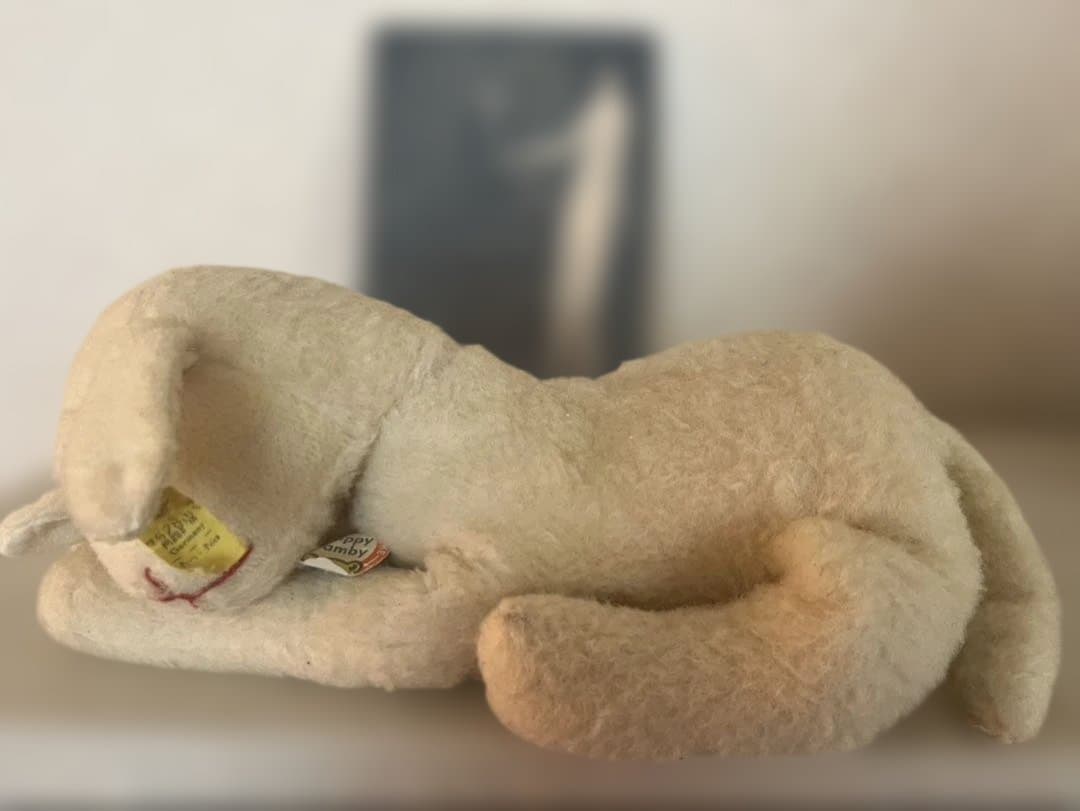 ドイツ　シュタイフ社眠りひつじFloppy Lanby