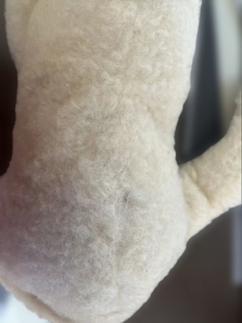 ドイツ　シュタイフ社眠りひつじFloppy Lanby