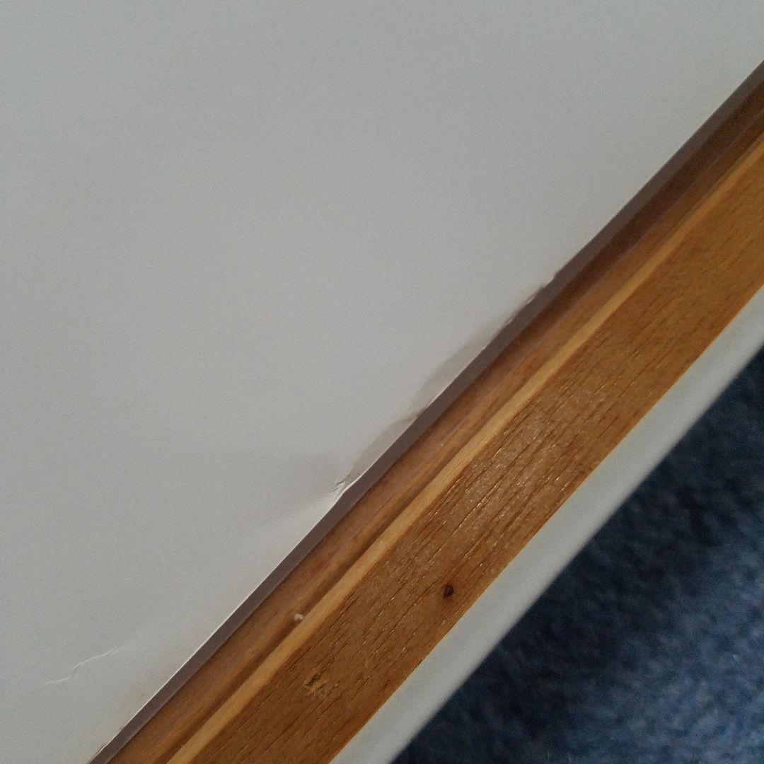 Supreme　レディーガガ　ポスター