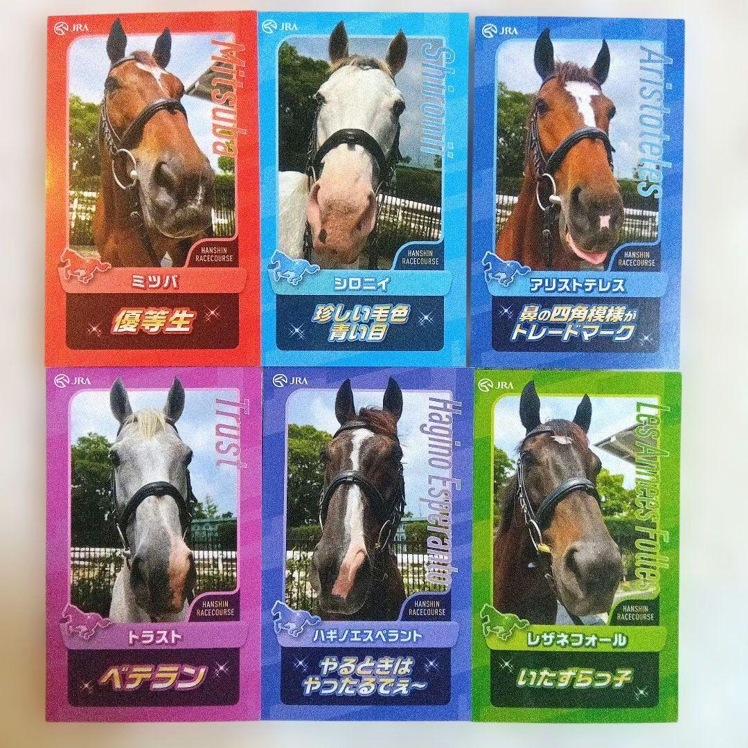 JRA 阪神競馬場 誘導馬カード 6枚セット - メルカリ