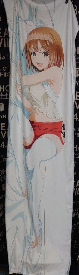 【ファスナーKK仕様】ライザリン・シュタウト 抱き枕カバー