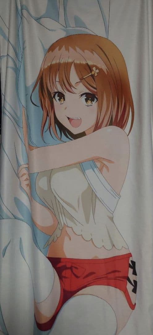 【ファスナーKK仕様】ライザリン・シュタウト 抱き枕カバー