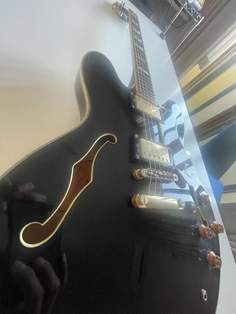 シゲ　Epiphone Sheraton II EB ソフトケース付属