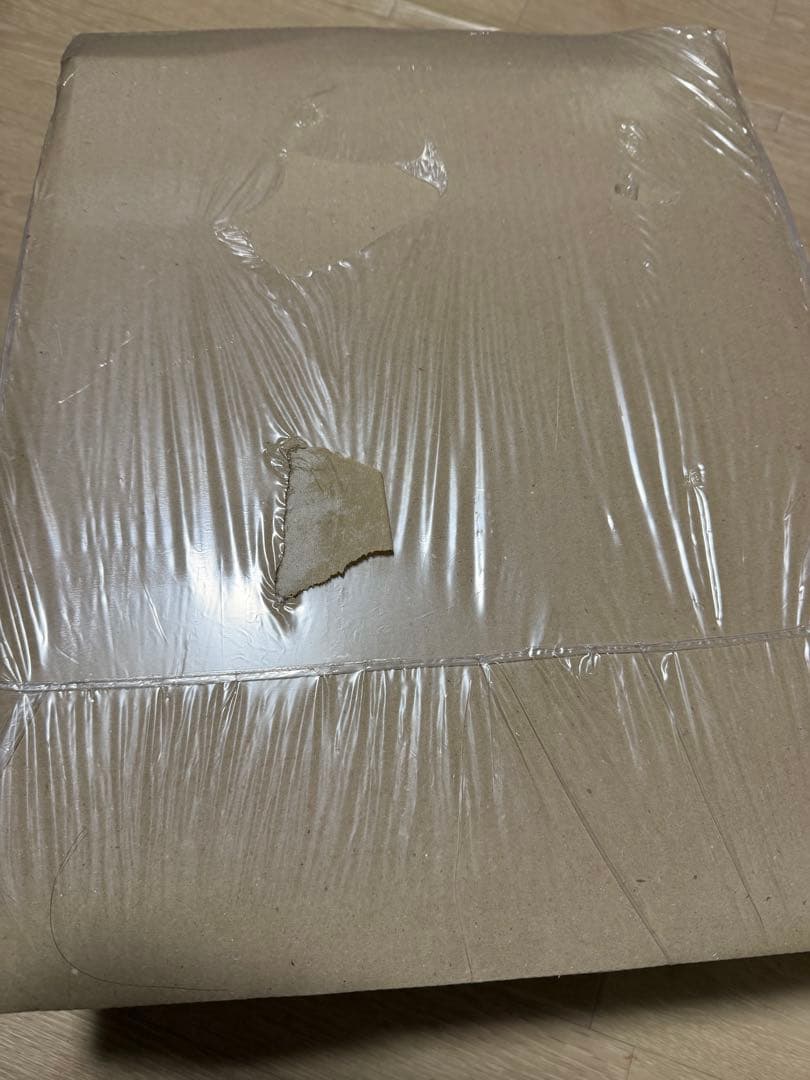 【即日発送】MG ガンダムNT-1 Ver.2.0 アレックス 新品・未開封