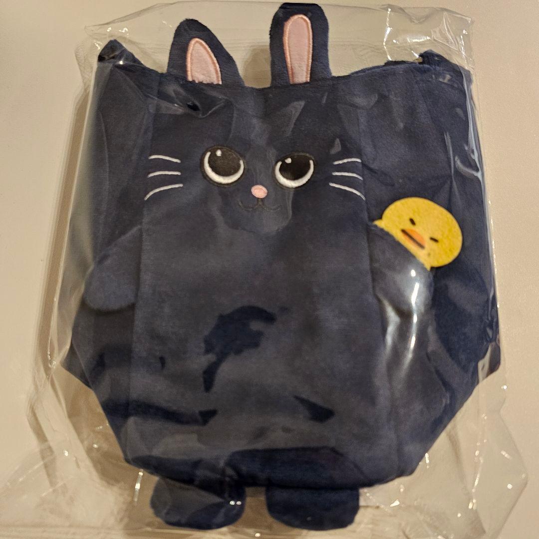 RIIZE ウォンビン FANLIGHTバッグ POPUP 6000円特典トレカ - メルカリ