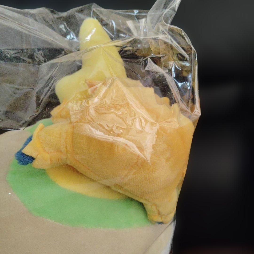 ポケモン★♥ぶるぶるバチュル・ワンパチ付き♥★ぬいぐるみ★TAKARA TOMY