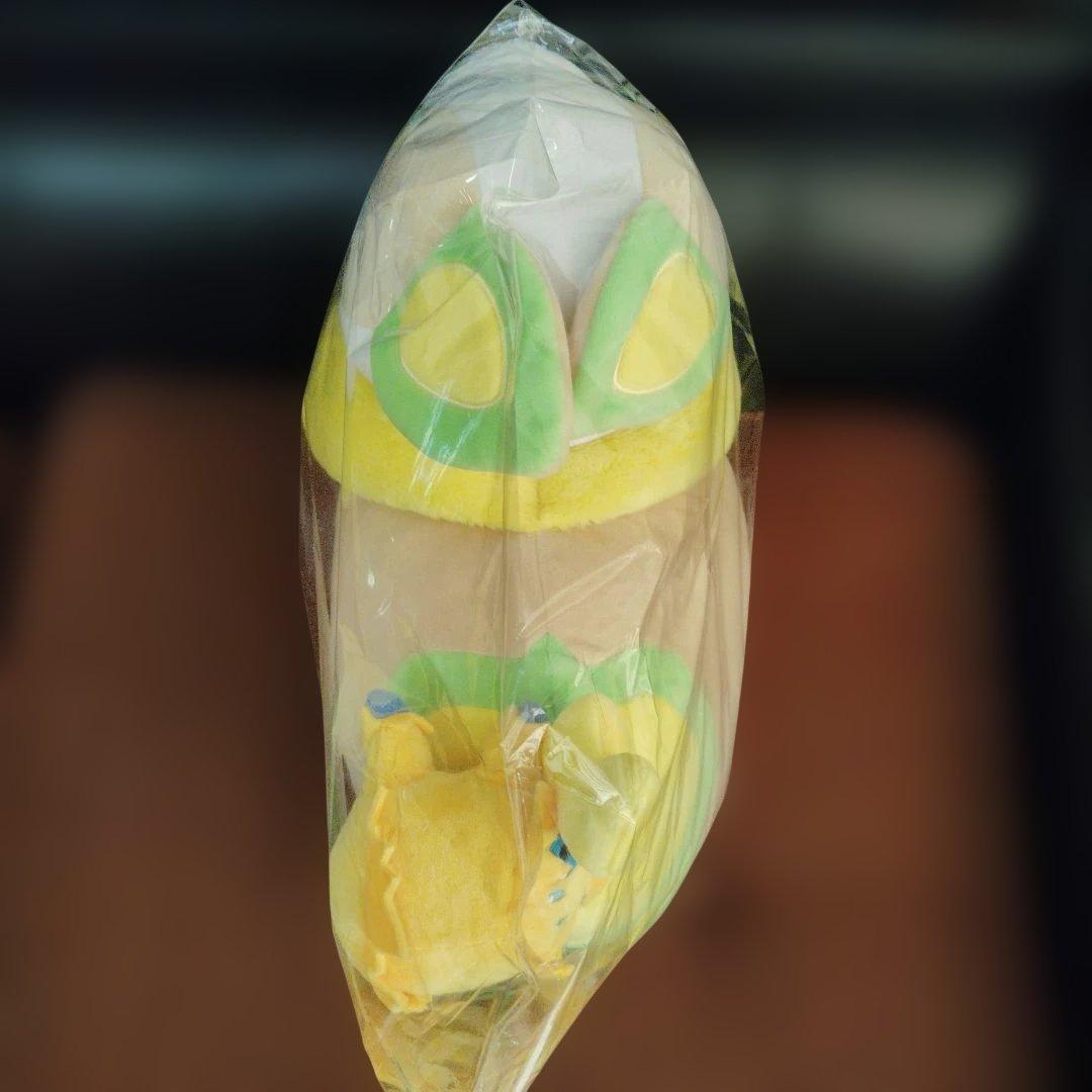 ポケモン★♥ぶるぶるバチュル・ワンパチ付き♥★ぬいぐるみ★TAKARA TOMY