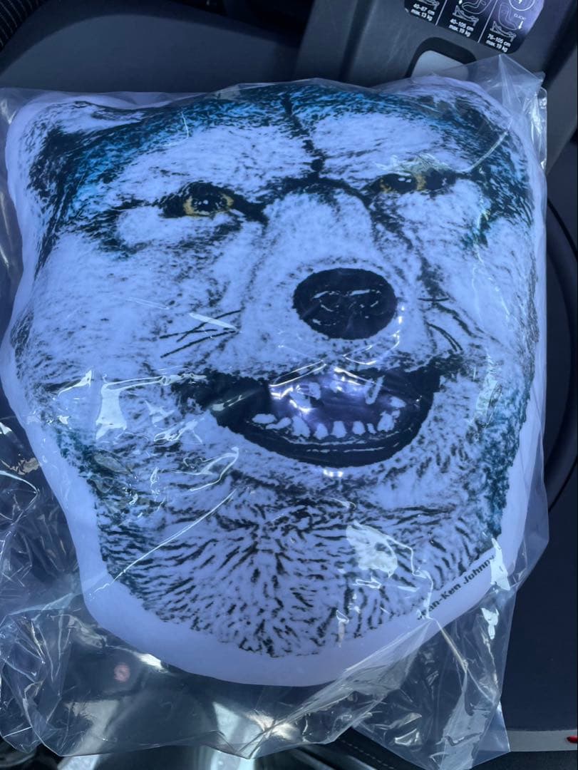 ⭐︎ tagapomu-_- ⭐︎クッションコンプ&マグネットセット