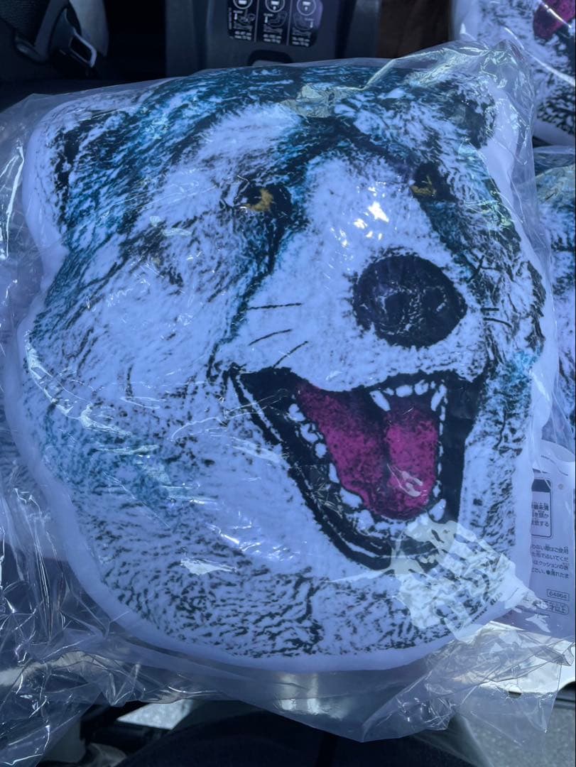 ⭐︎ tagapomu-_- ⭐︎クッションコンプ&マグネットセット