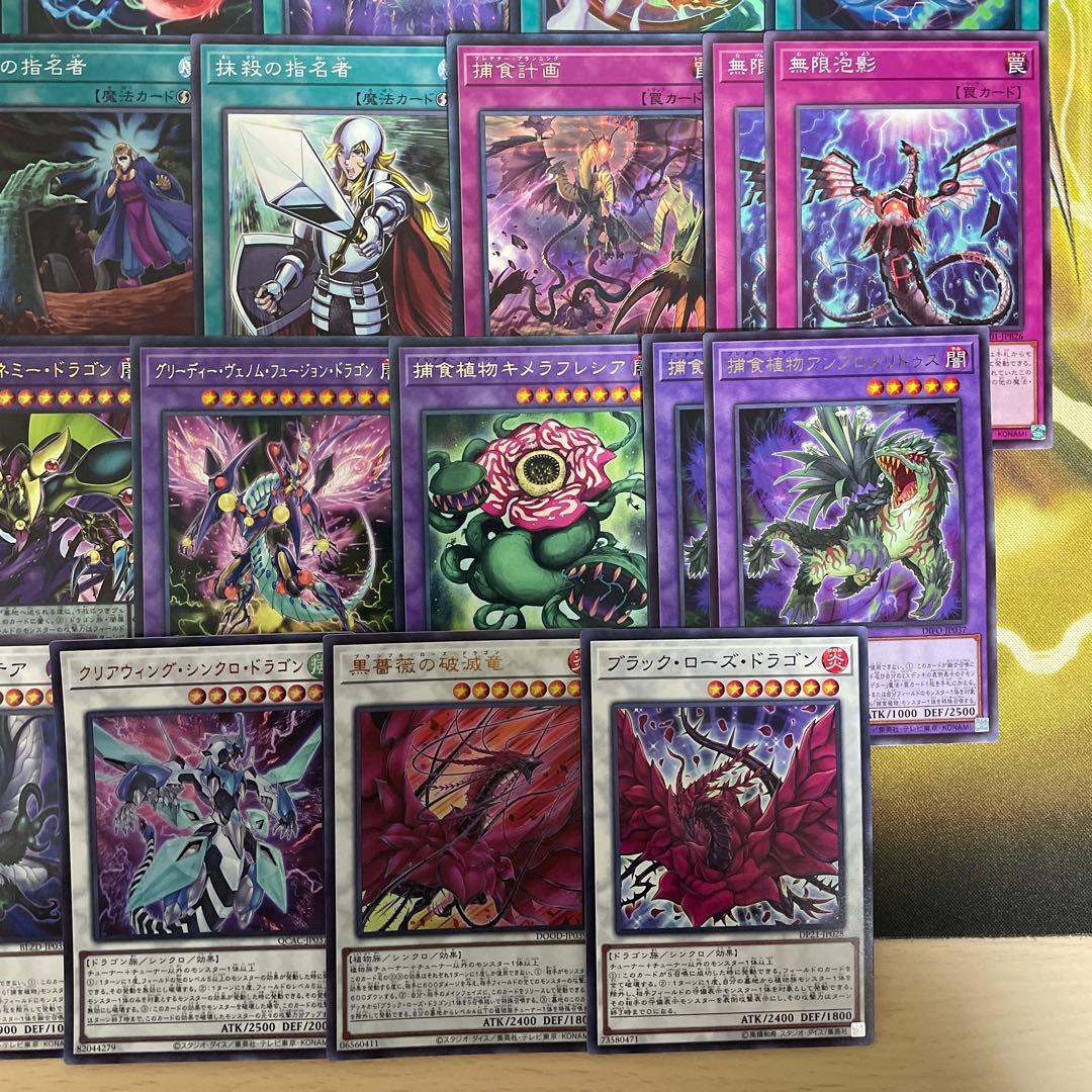 本格構築 捕食植物デッキ プレデタープランツデッキ 血樹竜姫