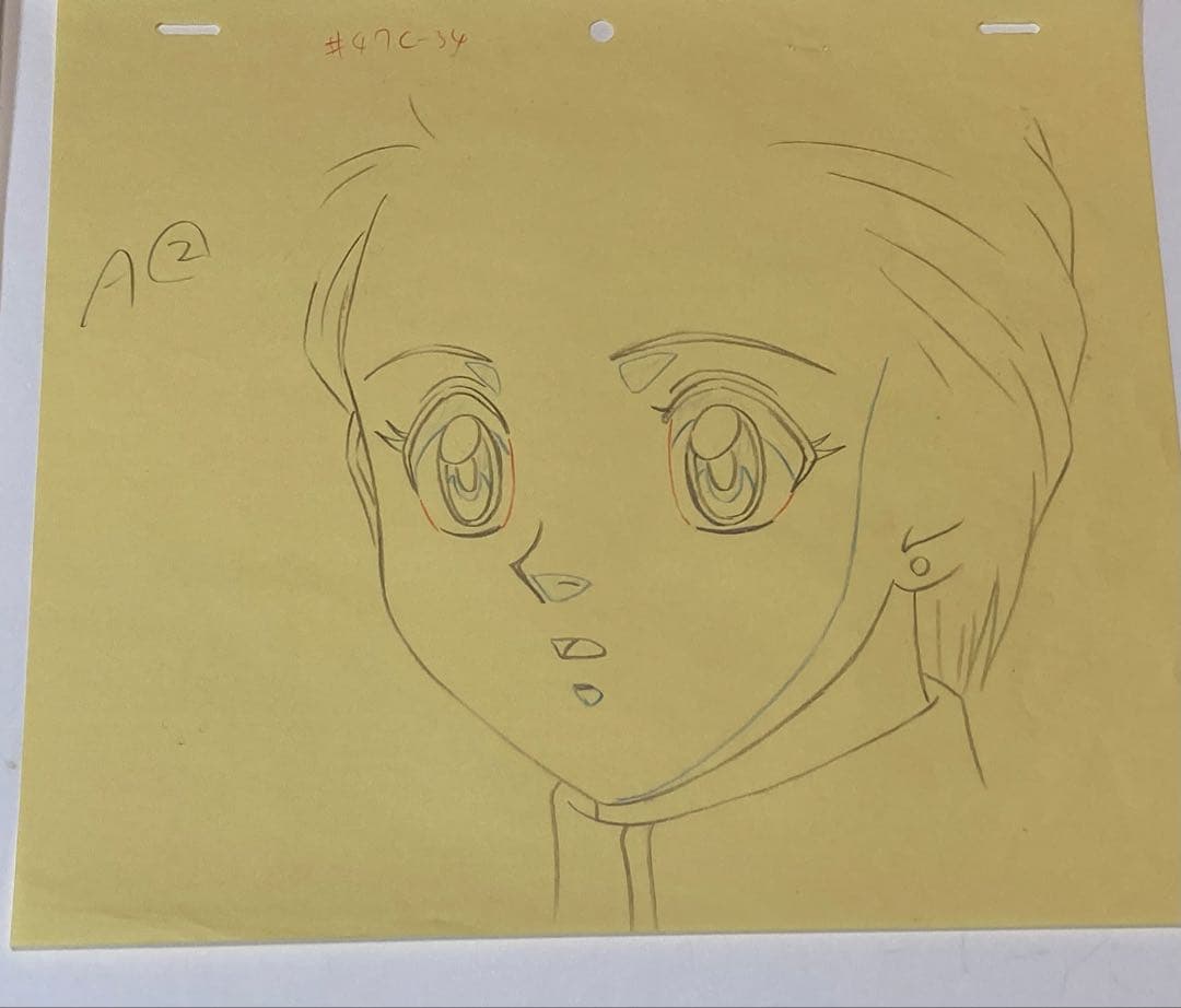 c８０　中判ハンターハンターセル画【ミト】動画.背景画付き