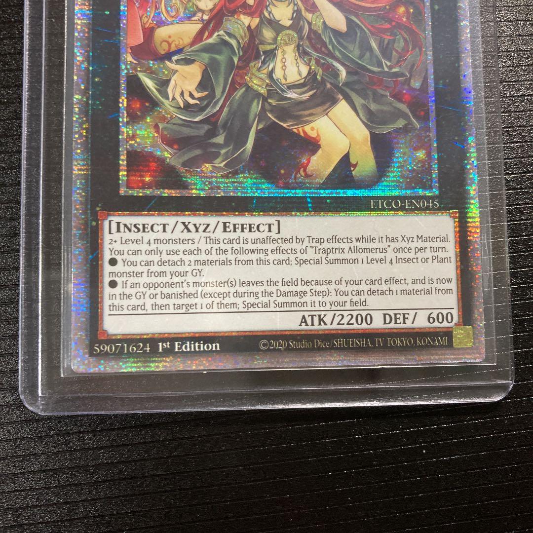 遊戯王 アロメルスの蟲惑魔 スターライトレア 1st 英語版