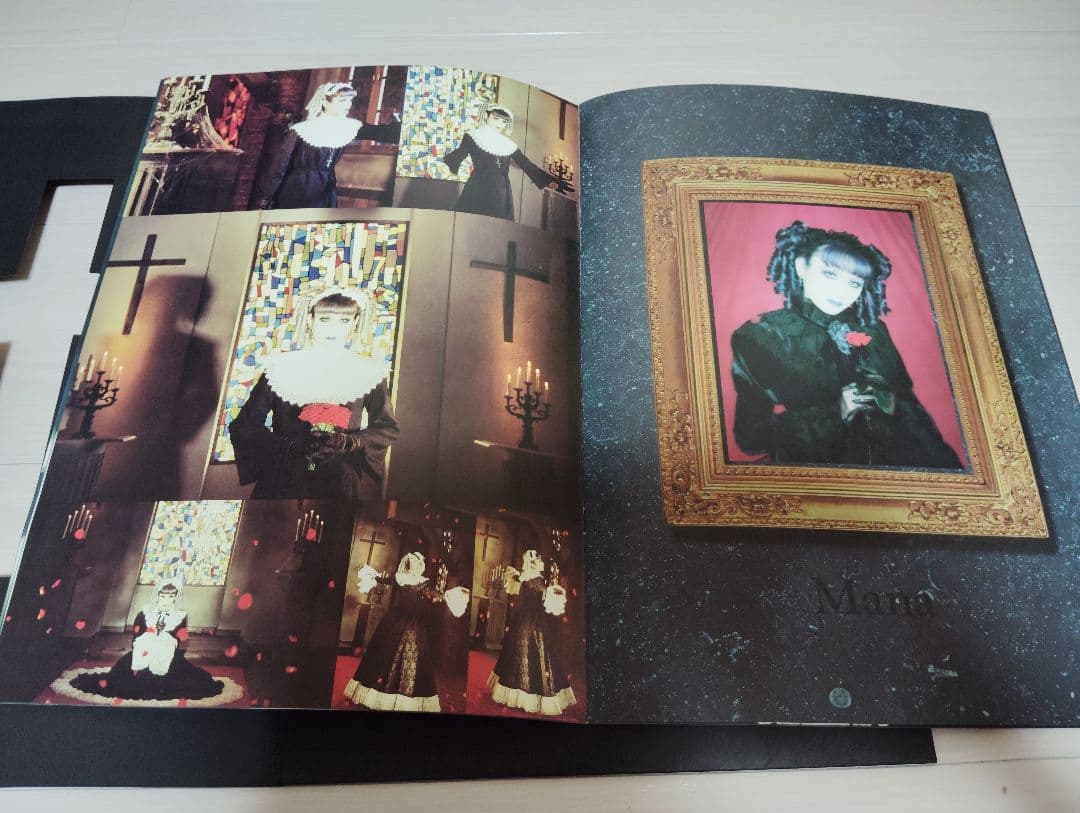 薔薇に彩られた悪意と悲劇の幕開けパンフレット