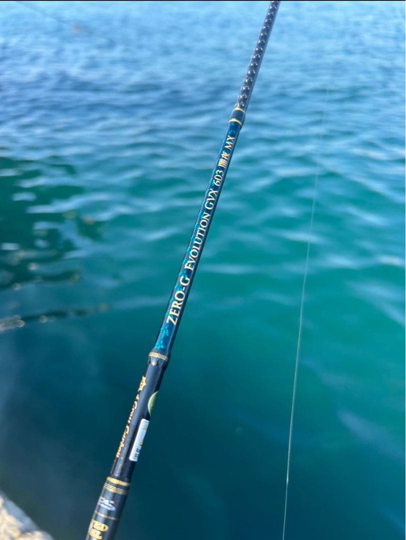 ZERO-G EVOLUTION GVX 603 闇夜 MX イカメタルロッド - メルカリ