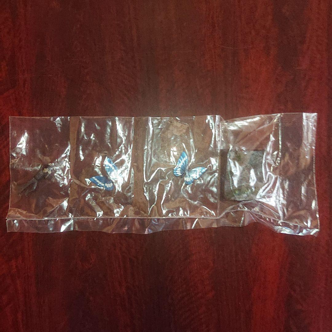 ウルトラ超獣名鑑/シークレット