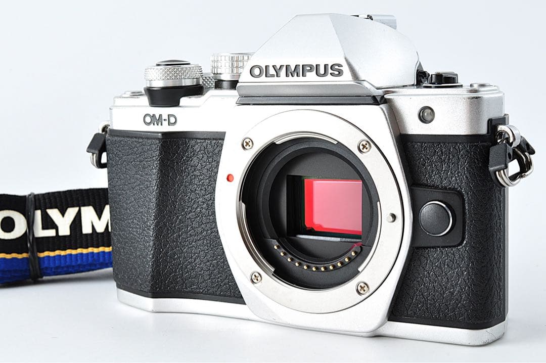 《 S数2210回！ 》OLYMPUS OM-D E-M10 II ボディ